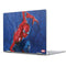 Marvel Spiderman World of Webs Pixelbook Skin